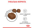 Royal Canin Dental Care сухий корм для запобігання зубного нальоту у котів - 1.5 кг