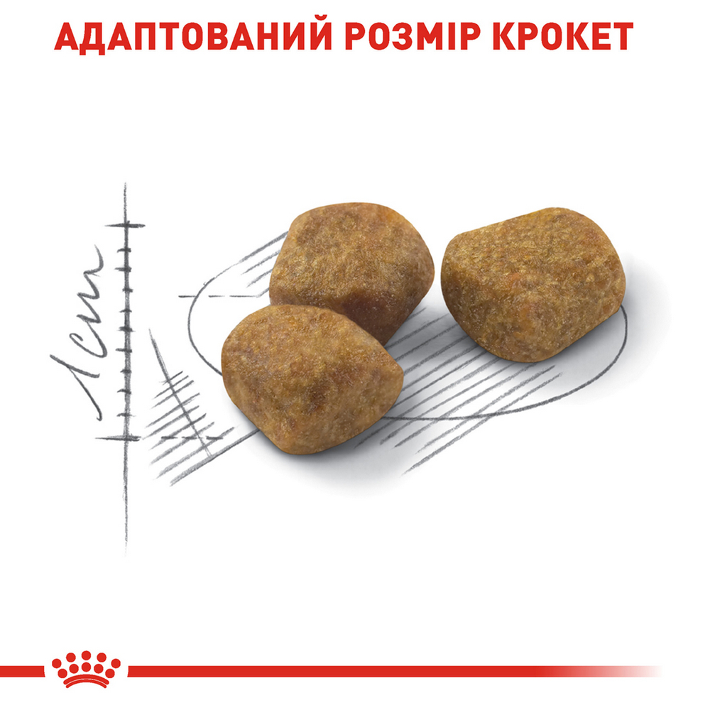 Royal Canin Indoor 7+ корм для котів старше 7 років, що живуть у приміщенні - 3.5 кг