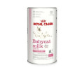 Royal Canin Babycat Milk замінник молока для кошенят - 300 г