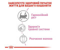 Royal Canin Babycat Milk замінник молока для кошенят - 300 г