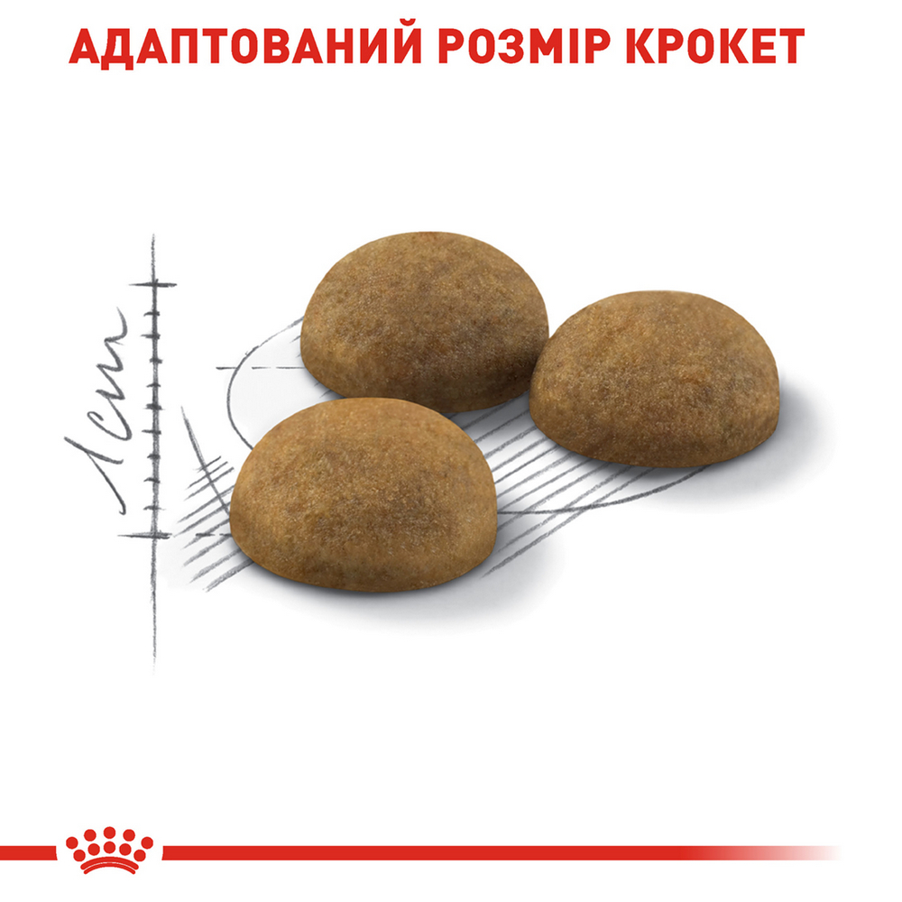 Royal Canin Indoor Long Hair сухий корм для довгошерстих котів - 400 г