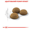 Royal Canin Indoor Long Hair сухий корм для довгошерстих котів - 2 кг