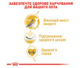 Royal Canin Sphynx Adult сухий корм для котів породи сфінкс - 400 г
