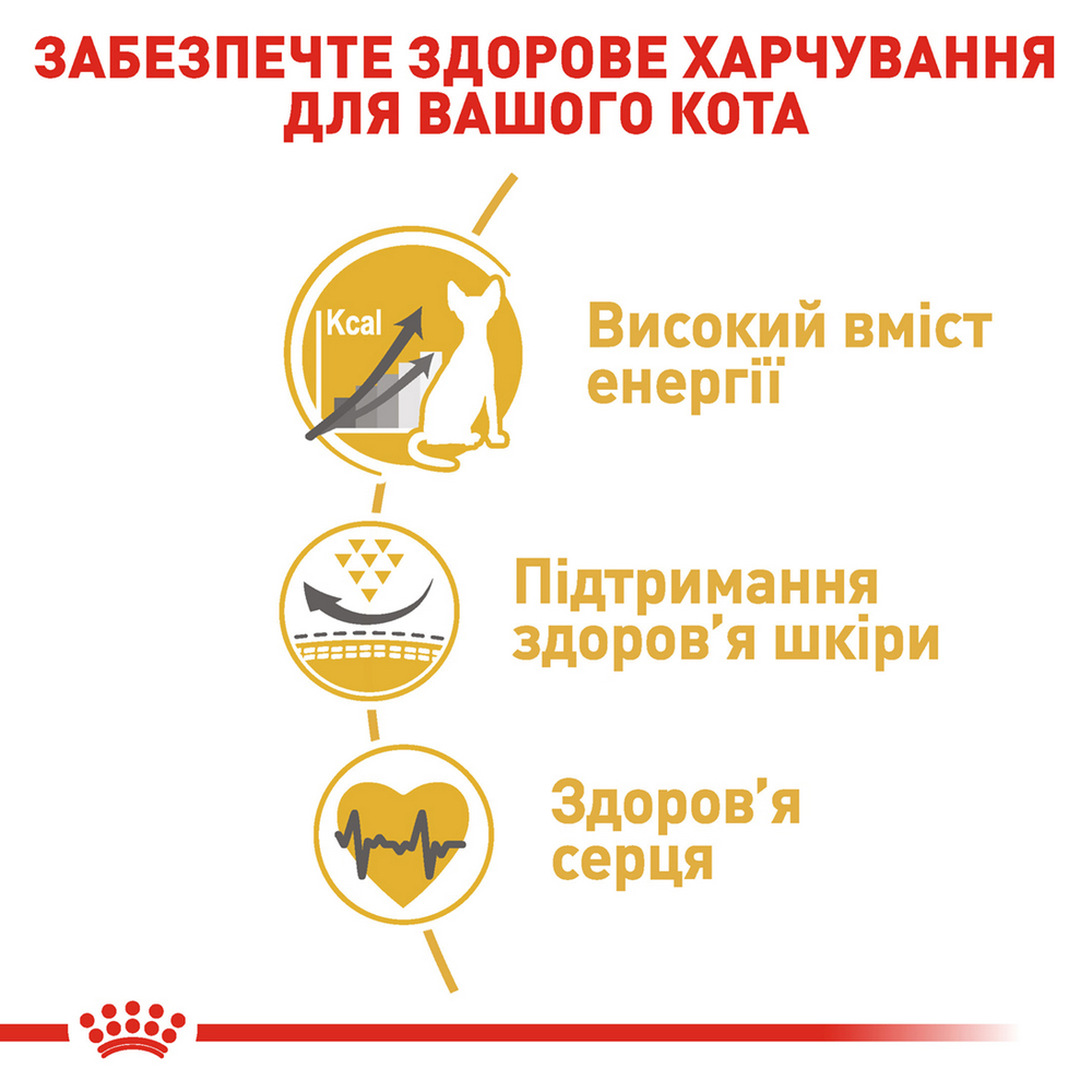 Royal Canin Sphynx Adult сухий корм для котів породи сфінкс - 10 кг