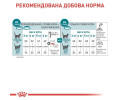 Royal Canin Ageing 11 сухий корм для літніх котів - 2 кг