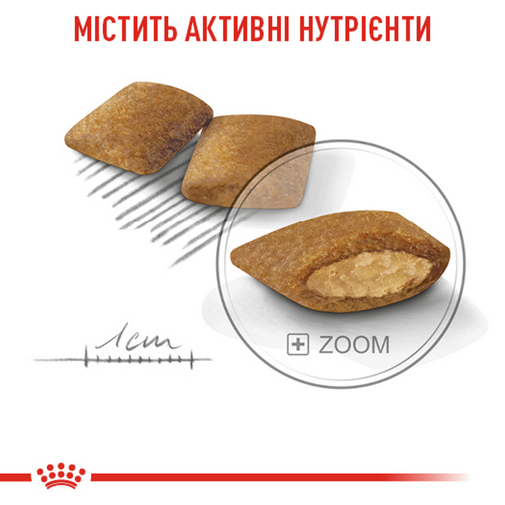 Royal Canin Mini Exigent корм для вибагливих собак малих порід - 3 кг