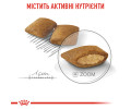 Royal Canin Mini Exigent корм для вибагливих собак малих порід - 3 кг