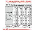 Royal Canin Mini Exigent корм для вибагливих собак малих порід - 3 кг