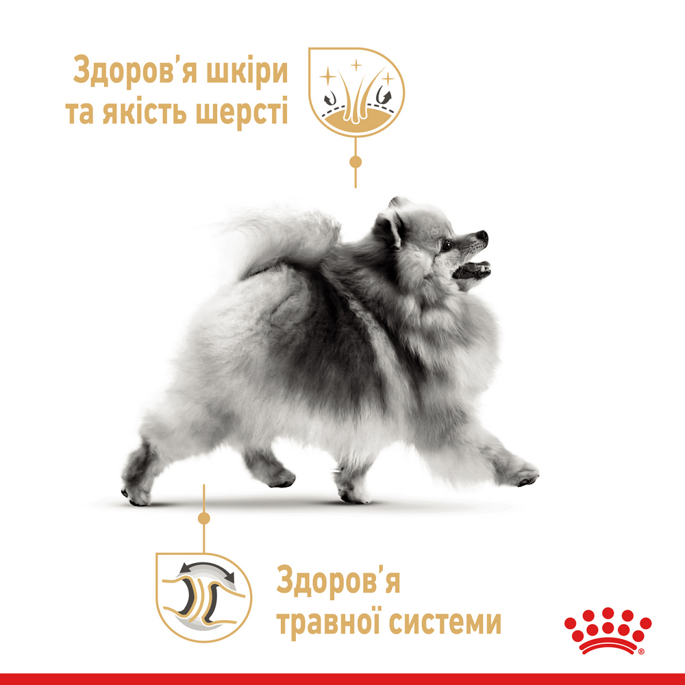 Royal Canin Pomeranian Adult корм для собак породи померанський шпіц - 500 г