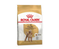 Royal Canin Beagle Adult корм для собак породи бігль - 3 кг