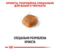 Royal Canin Chihuahua Adult корм для собак породи чихуахуа - 3 кг