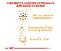 Royal Canin Chihuahua Adult корм для собак породи чихуахуа - 3 кг