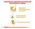 Royal Canin Miniature Schnauzer Adult корм для собак поріди шнауцер - 7.5 кг