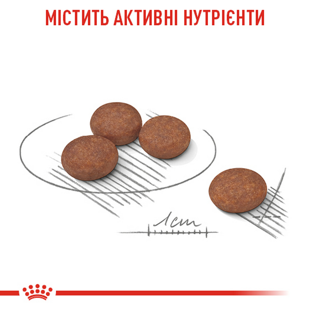 Royal Canin Mini Digestive Care корм для собак малих порід із чутливим травленням - 3 кг