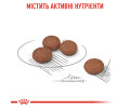 Royal Canin Mini Digestive Care корм для собак малих порід із чутливим травленням - 3 кг