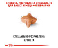Royal Canin German Shepherd Adult корм для собак породи німецька вівчарка - 11 кг