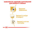 Royal Canin German Shepherd Adult корм для собак породи німецька вівчарка - 11 кг