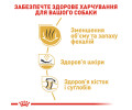 Royal Canin Bulldog Adult корм для собак породи англійський бульдог - 3 кг