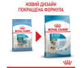 Royal Canin Mini Starter корм для цуценят до 2-місячного віку - 1 кг