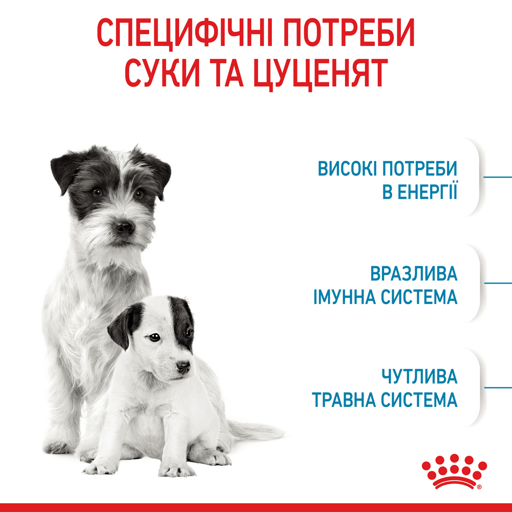 Royal Canin Mini Starter корм для цуценят до 2-місячного віку - 1 кг