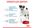 Royal Canin Mini Starter корм для цуценят до 2-місячного віку - 1 кг