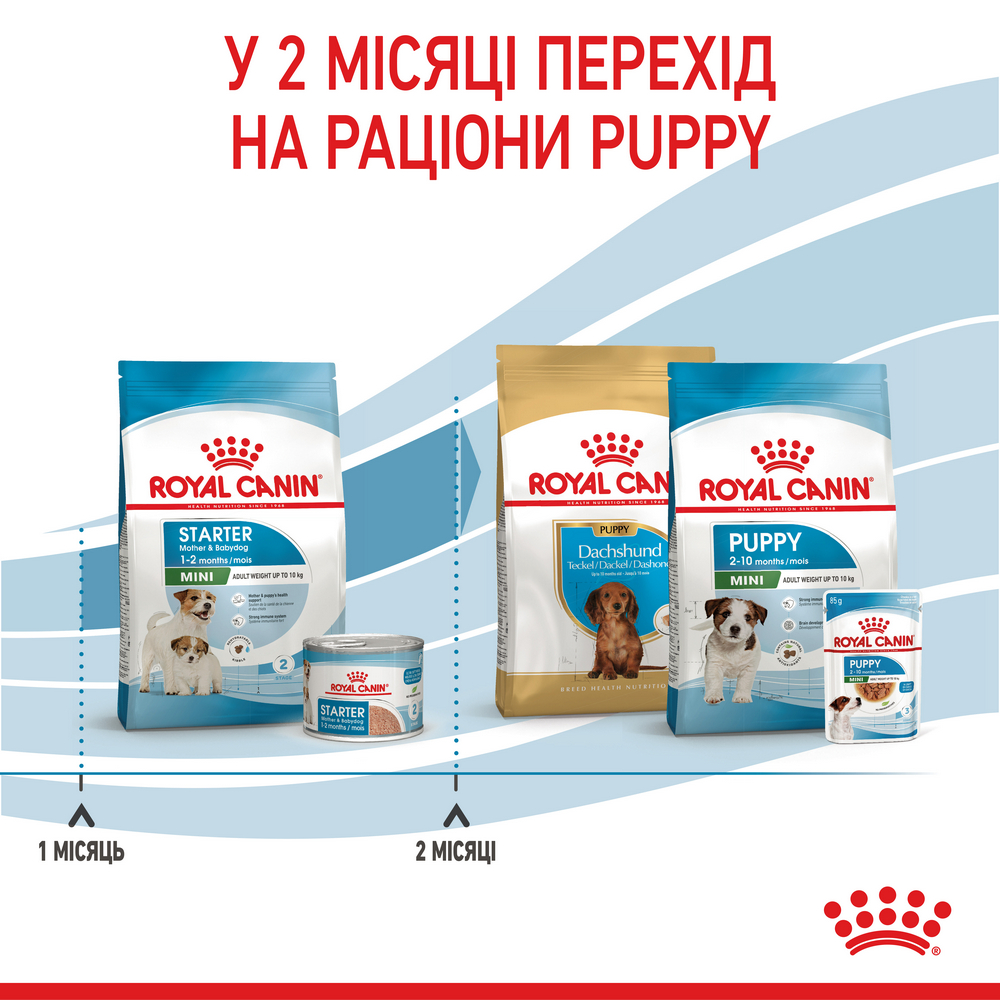 Royal Canin Mini Starter корм для цуценят до 2-місячного віку - 1 кг