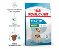 Royal Canin Mini Starter корм для цуценят до 2-місячного віку - 8 кг