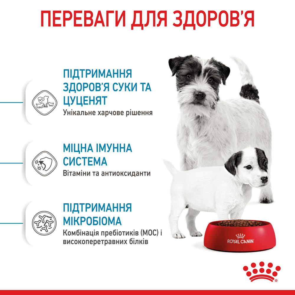 Royal Canin Mini Starter корм для цуценят до 2-місячного віку - 8 кг