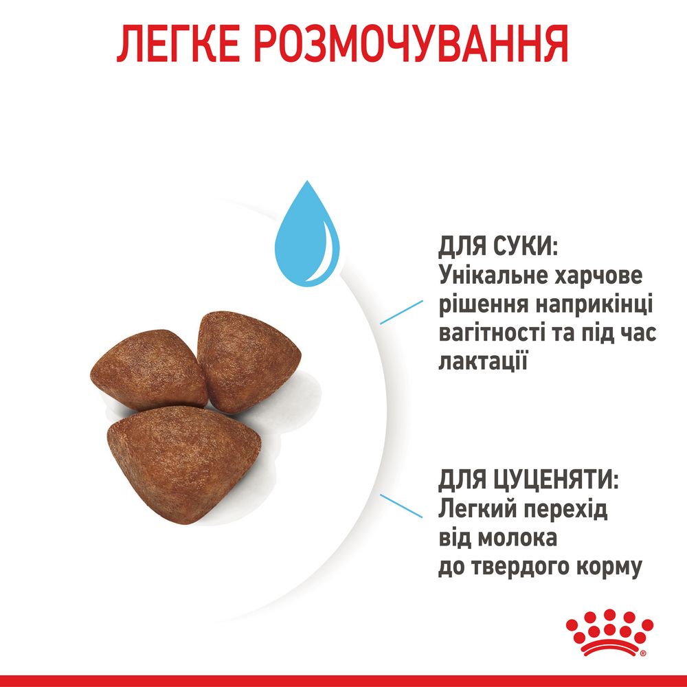 Royal Canin Mini Starter корм для цуценят до 2-місячного віку - 8 кг