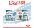 Royal Canin Mini Starter корм для цуценят до 2-місячного віку - 8 кг