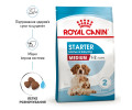 Royal Canin Medium Starter корм для цуценят середніх порід до 2-місячного віку - 1 кг