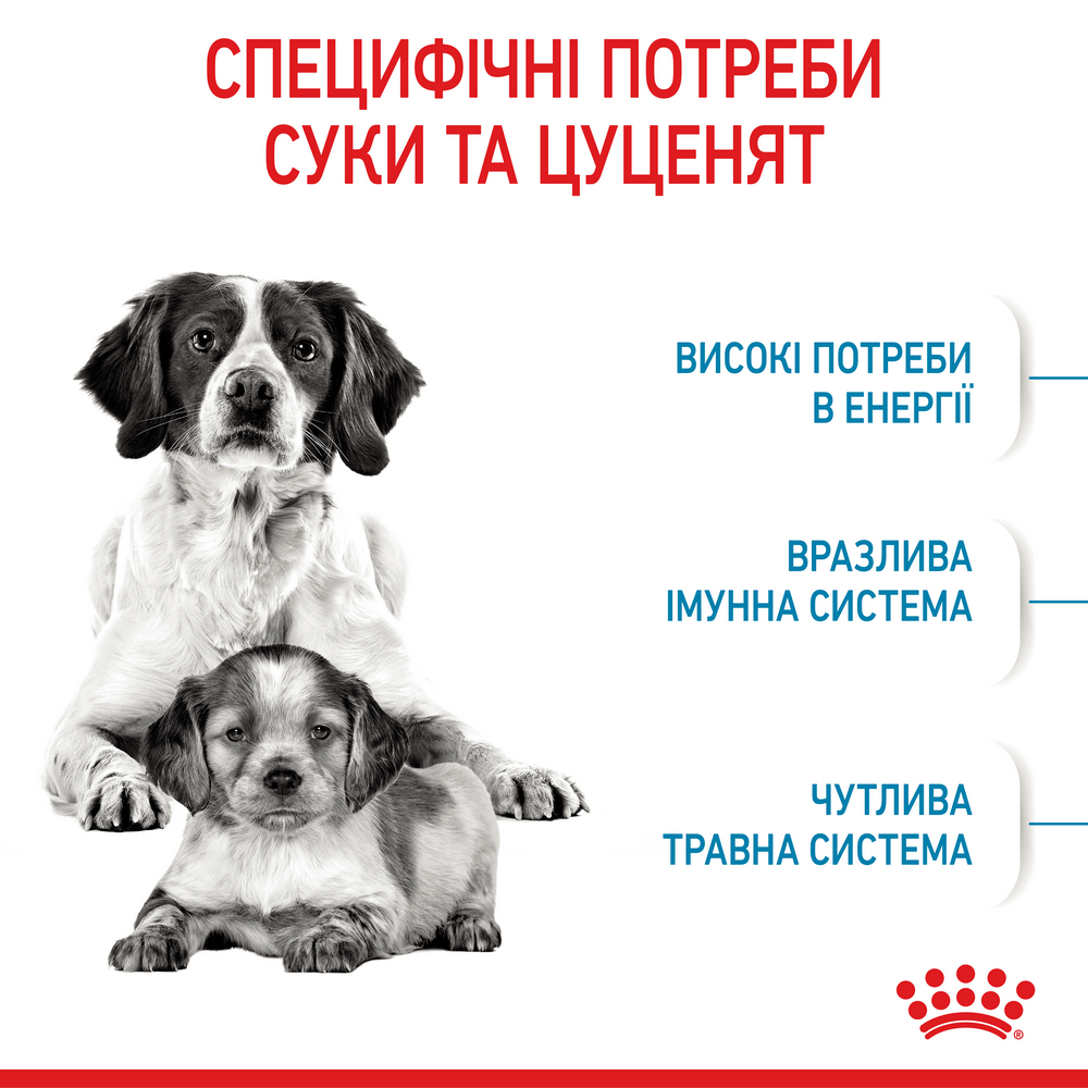 Royal Canin Medium Starter корм для цуценят середніх порід до 2-місячного віку - 1 кг