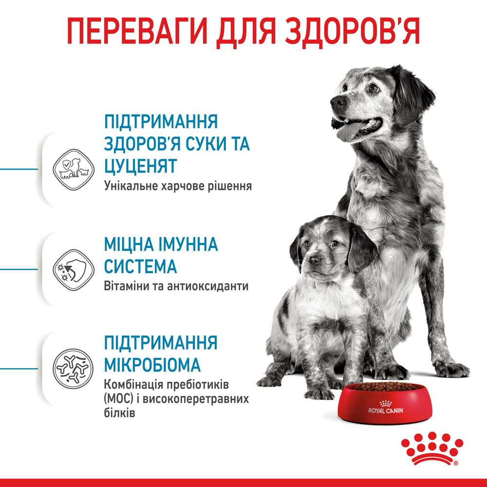 Royal Canin Medium Starter корм для цуценят середніх порід до 2-місячного віку - 1 кг
