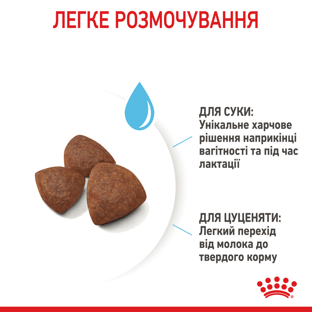Royal Canin Medium Starter корм для цуценят середніх порід до 2-місячного віку - 1 кг