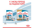 Royal Canin Medium Starter корм для цуценят середніх порід до 2-місячного віку - 1 кг