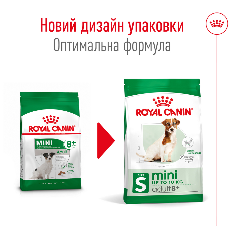 Royal Canin Mini Adult 8+ корм для літніх собак малих порід від 8 років - 800 г