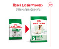 Royal Canin Mini Adult 8+ корм для літніх собак малих порід від 8 років - 800 г