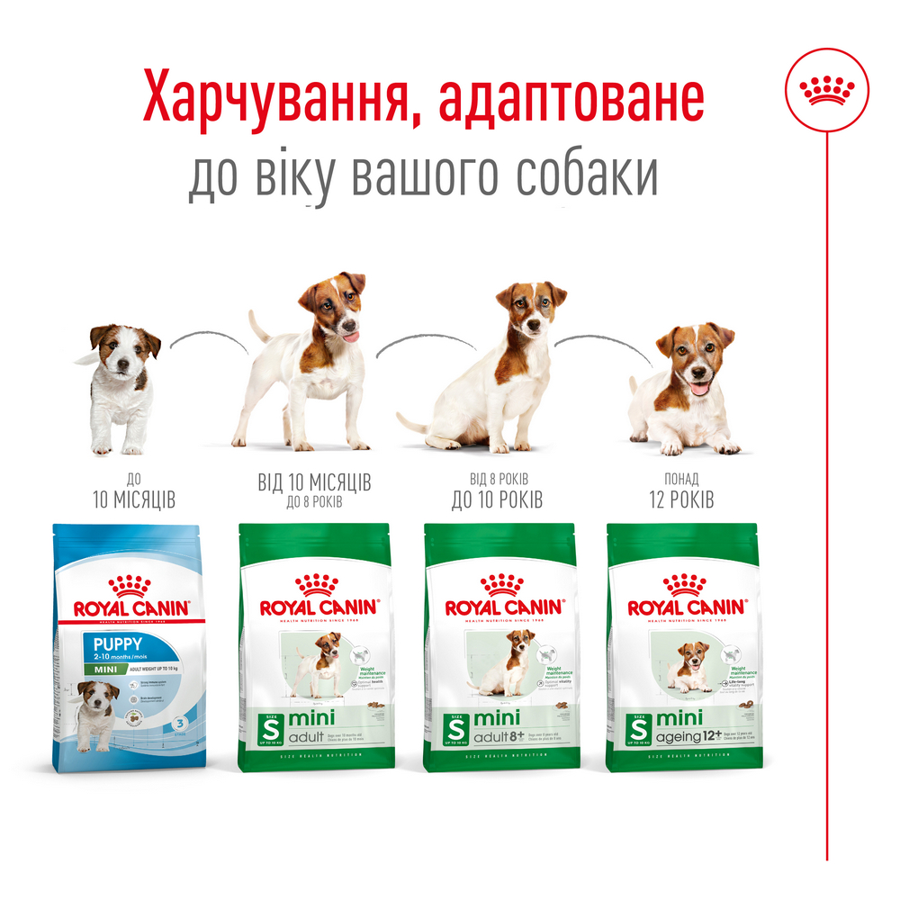Royal Canin Mini Adult 8+ корм для літніх собак малих порід від 8 років - 800 г