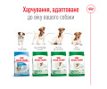 Royal Canin Mini Adult 8+ корм для літніх собак малих порід від 8 років - 800 г