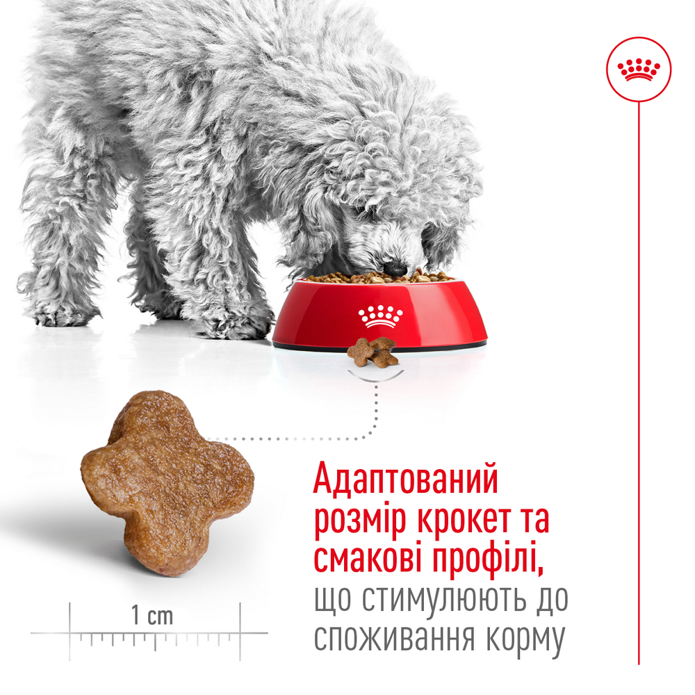 Royal Canin Mini Adult 8+ корм для літніх собак малих порід від 8 років - 800 г