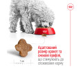 Royal Canin Mini Adult 8+ корм для літніх собак малих порід від 8 років - 800 г