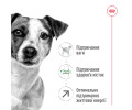 Royal Canin Mini Adult 8+ корм для літніх собак малих порід від 8 років - 800 г