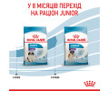 Royal Canin Giant Puppy корм для цуценят та юніорів гігантських порід - 1 кг
