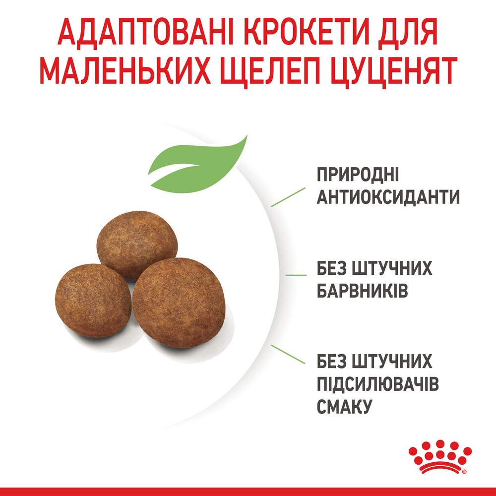 Royal Canin Giant Puppy корм для цуценят та юніорів гігантських порід - 1 кг