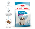 Royal Canin Giant Puppy корм для цуценят гігантських порід - 15 кг