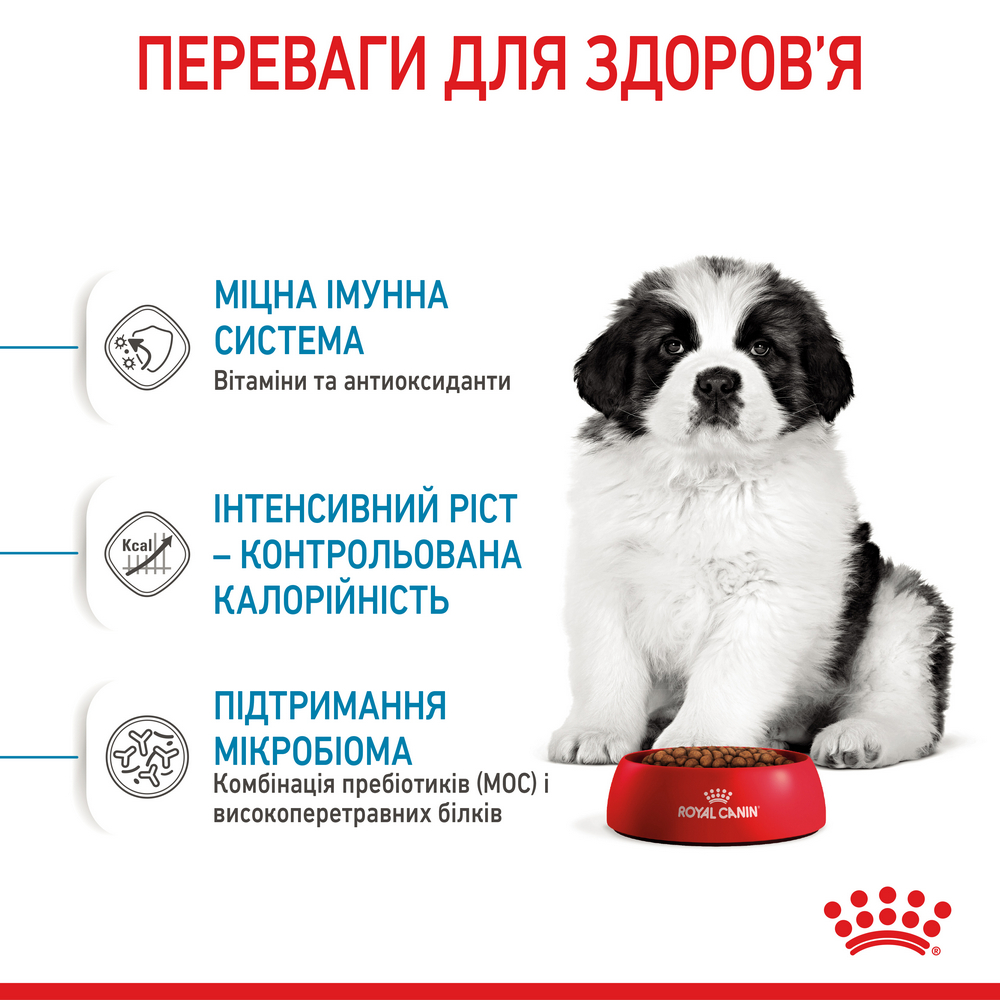 Royal Canin Giant Puppy корм для цуценят гігантських порід - 15 кг