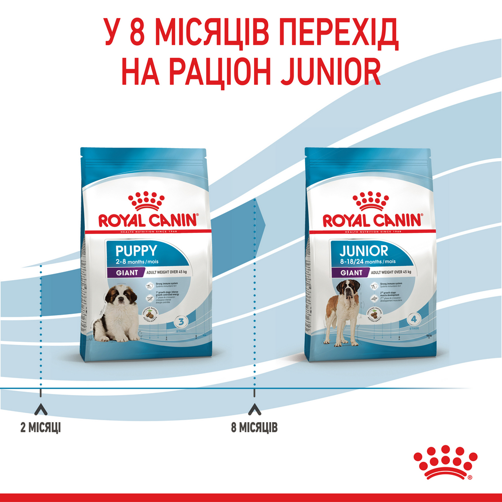 Royal Canin Giant Puppy корм для цуценят гігантських порід - 15 кг