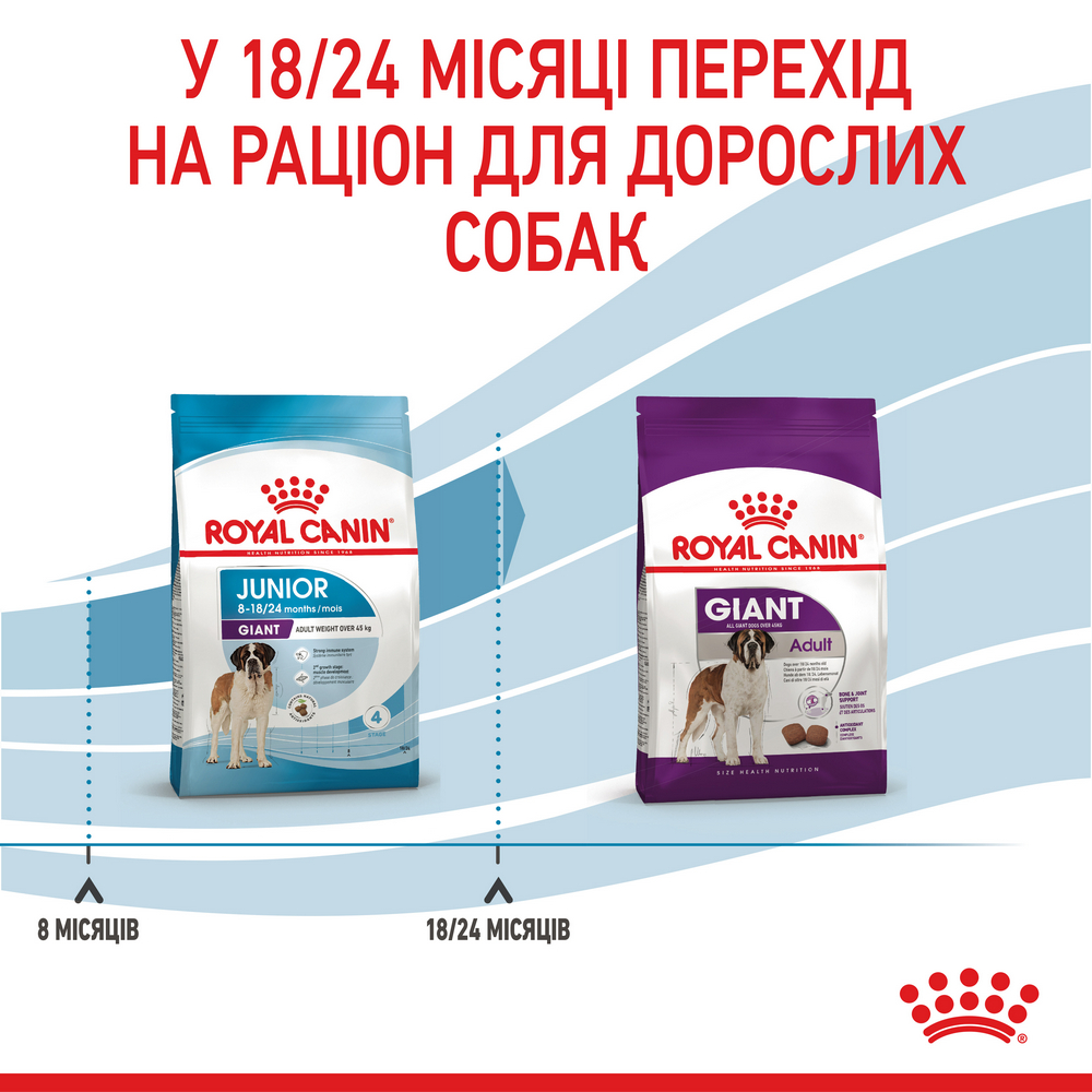 Royal Canin Giant Junior корм для юніорів гігантських порід - 15 кг