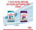 Royal Canin Giant Junior корм для юніорів гігантських порід - 15 кг