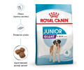 Royal Canin Giant Junior корм для юніорів гігантських порід - 15 кг